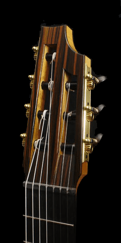 Woodfield Guitars 7 string